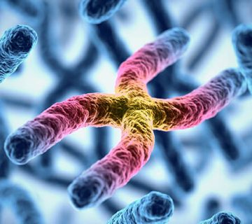 سیتوژنتیک و کاریوتیپ ژن آزما