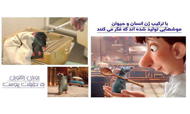 ترکیب ژن انسان و حیوان