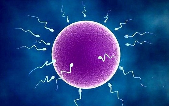 تشخیص-علت-ناباروری