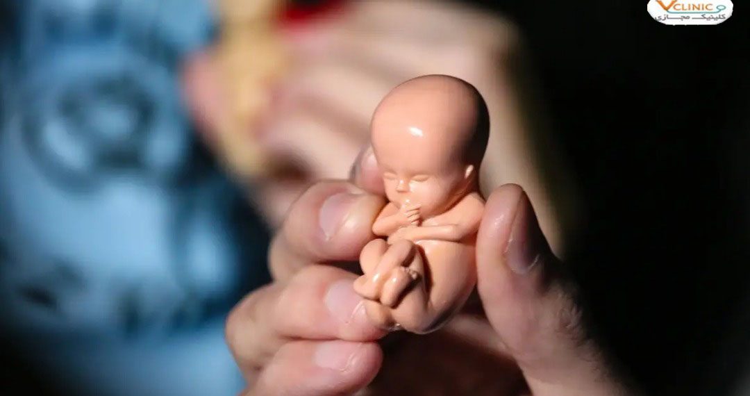 ژنوم | چه عواملی باعث سقط جنین می شود