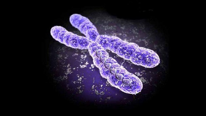 کروموزوم چیست؟ | بهترین آزمایشگاه ژنتیک اصفهان