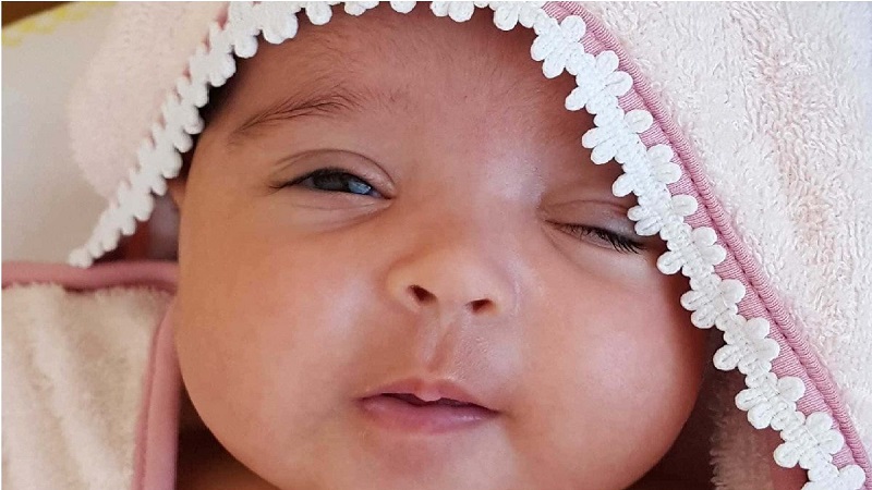 سندرم صدای گربه چیست؟ | آزمایشگاه ژنتیک اصفهان