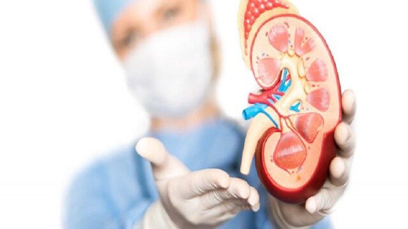 بی نطفگی یا آزواسپرمی و انواع آن | آزمایشگاه ژنتیک اصفهان