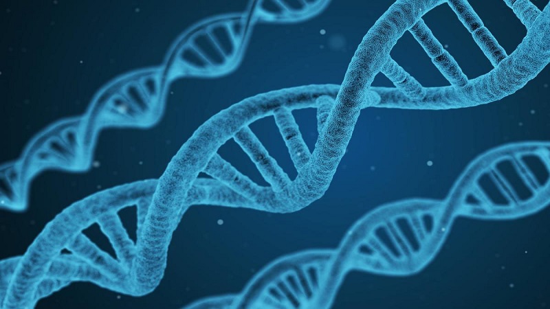 ناهنجاری در یک ژن خاص | بهترین آزمایشگاه ژنتیک اصفهان