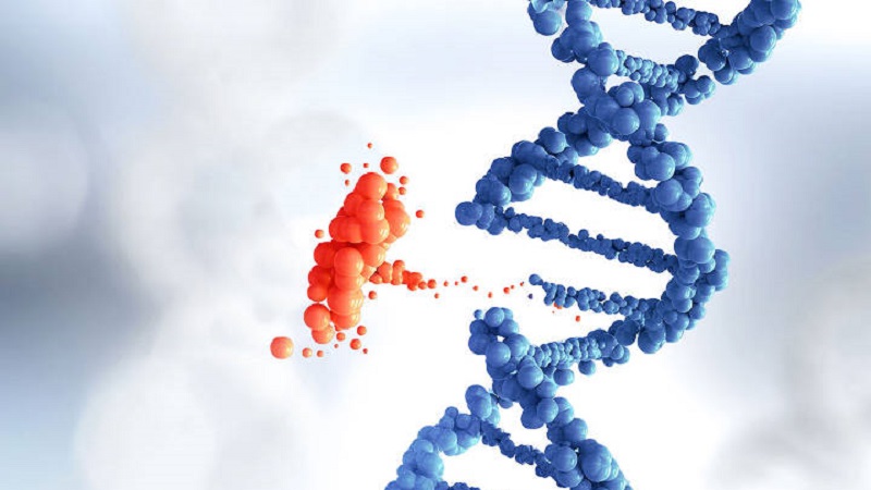 هموکروماتیس یا هموکروماتوزیس | آزمایش ژنتیک اصفهان