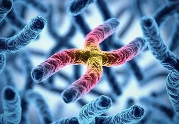 بیماری هانتینگتون