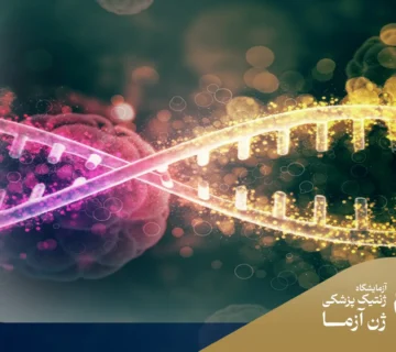 مراحل انجام آزمایش ژنتیکی